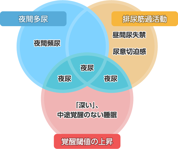夜尿症の原因の３要素